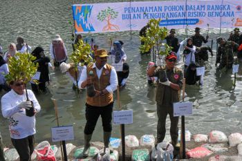 BNPB tanam 6.000 batang mangrove di Aceh upaya jaga ekosistem pesisir