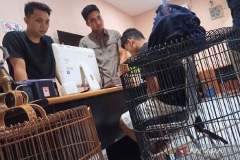 Polresta Mataram tangkap pencuri burung murai batu seharga Rp17 juta