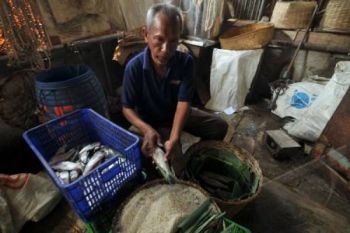 Makan ikan langsung lebih baik ketimbang ikan olahan