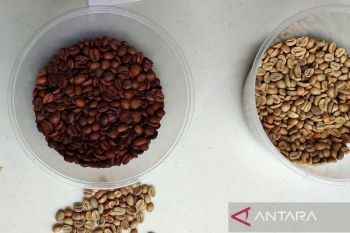 Cara menyimpan kopi agar tetap terjaga kualitasnya